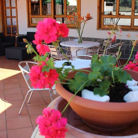 B&B La Vigna Lamezia Terme Exterior foto